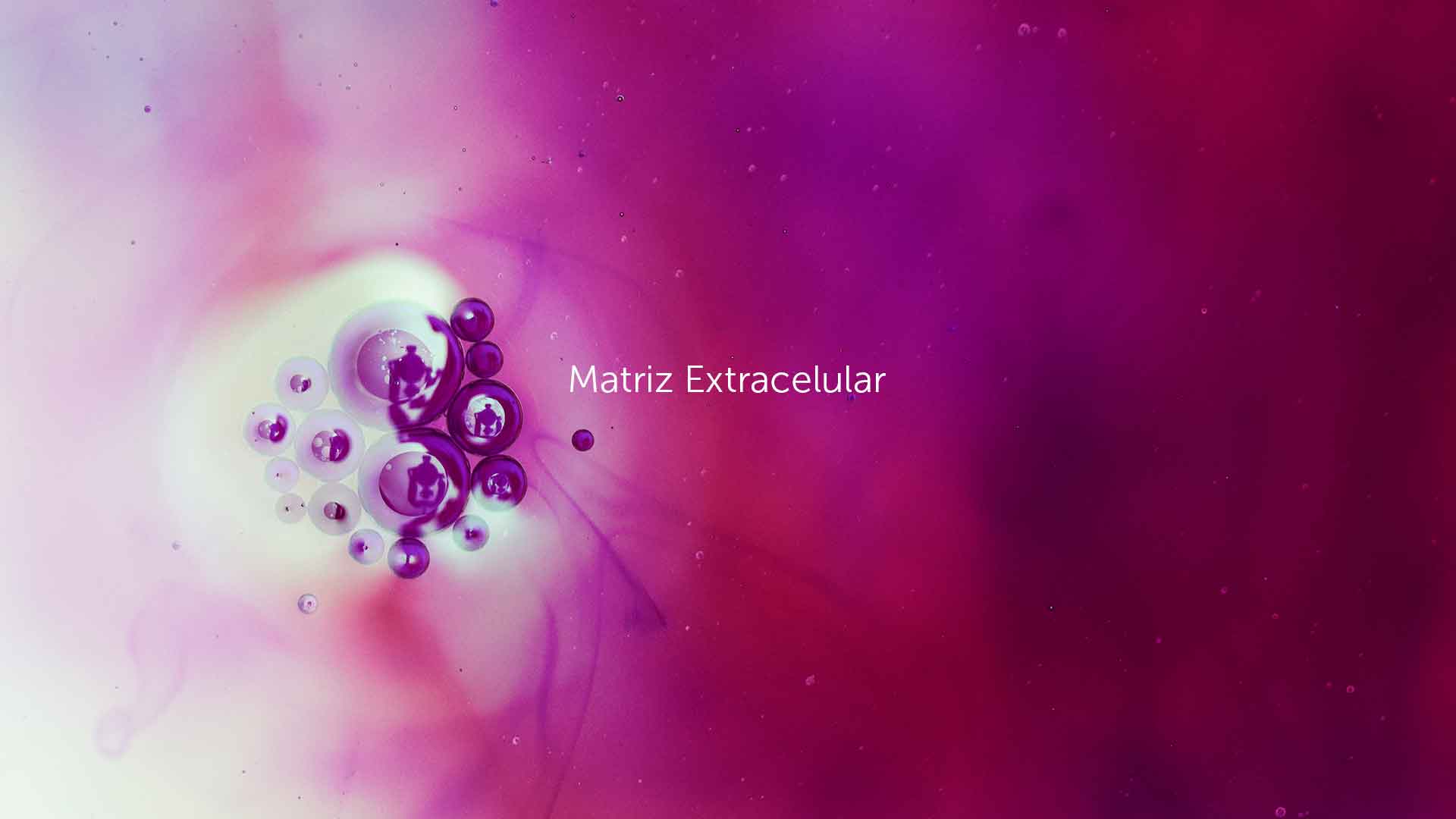 matriz-extracelular-1 Libera tu mente y tu cuerpo - HitLive