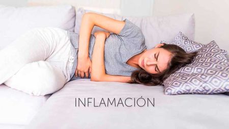 17bdb6b11f43f7653952cb9c5e73bb3d La disbiosis: Disbiosis inducida por la dieta - HitLive