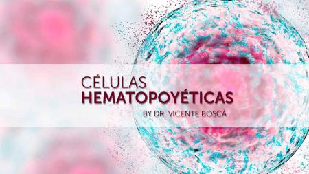 49490c592000a238b6aa19292dd5a2c3 Indicaciones del uso de células autólogas - HitLive