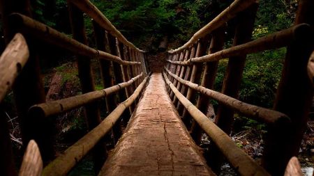 916775f312d51574d87a5c215e331c5c Ácidos Grasos Esenciales Omega 3 - HitLive