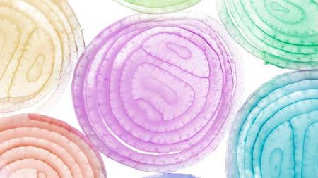 d1faff0c3a1ae3151feb566381ebc77d El drenaje y la detoxificación - HitLive